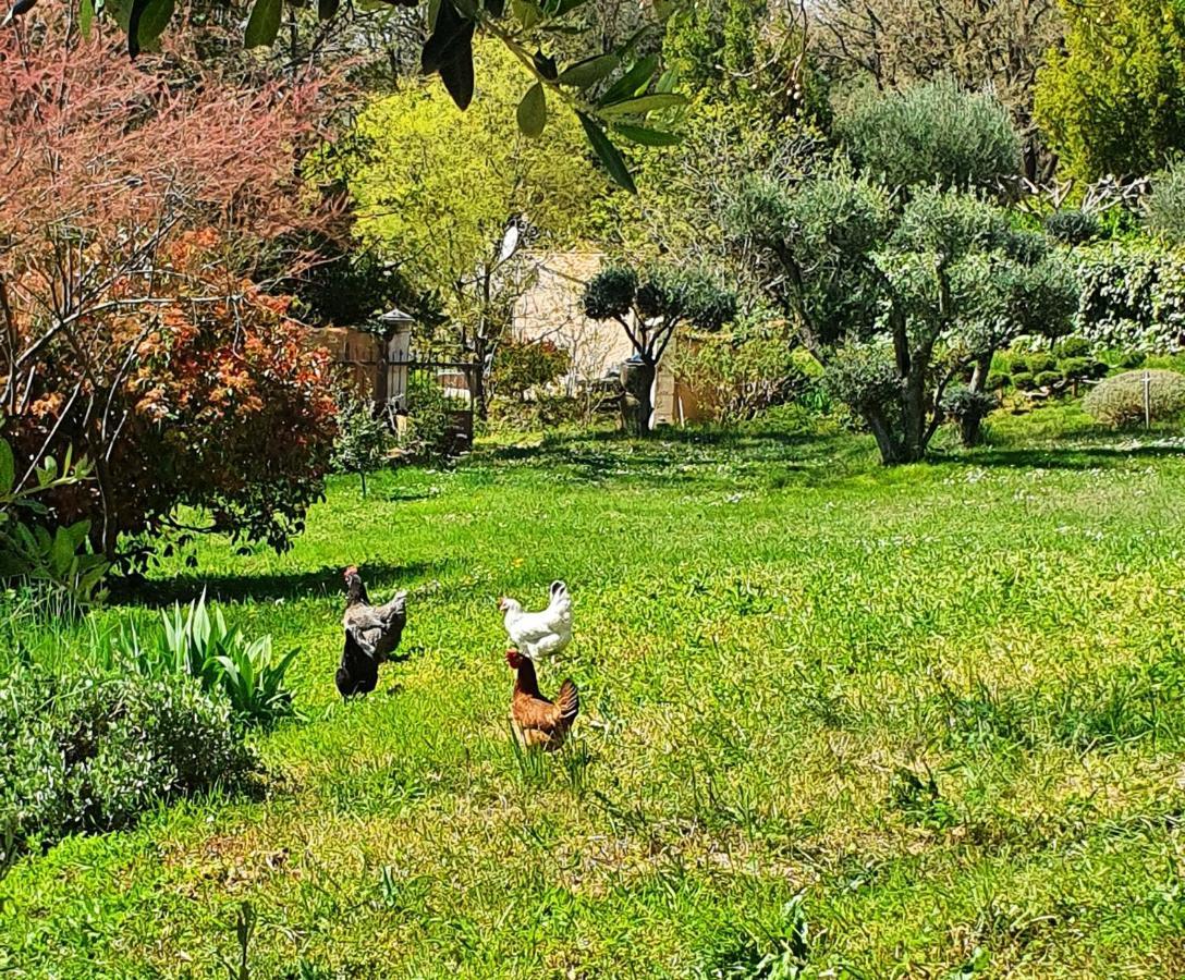 Monteze Paradis Saint-Christol-lès-Alès Εξωτερικό φωτογραφία